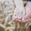 Babybauchshooting – Bild 4